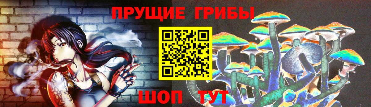 Галлюциногенные грибы Magic Shrooms Кингисепп