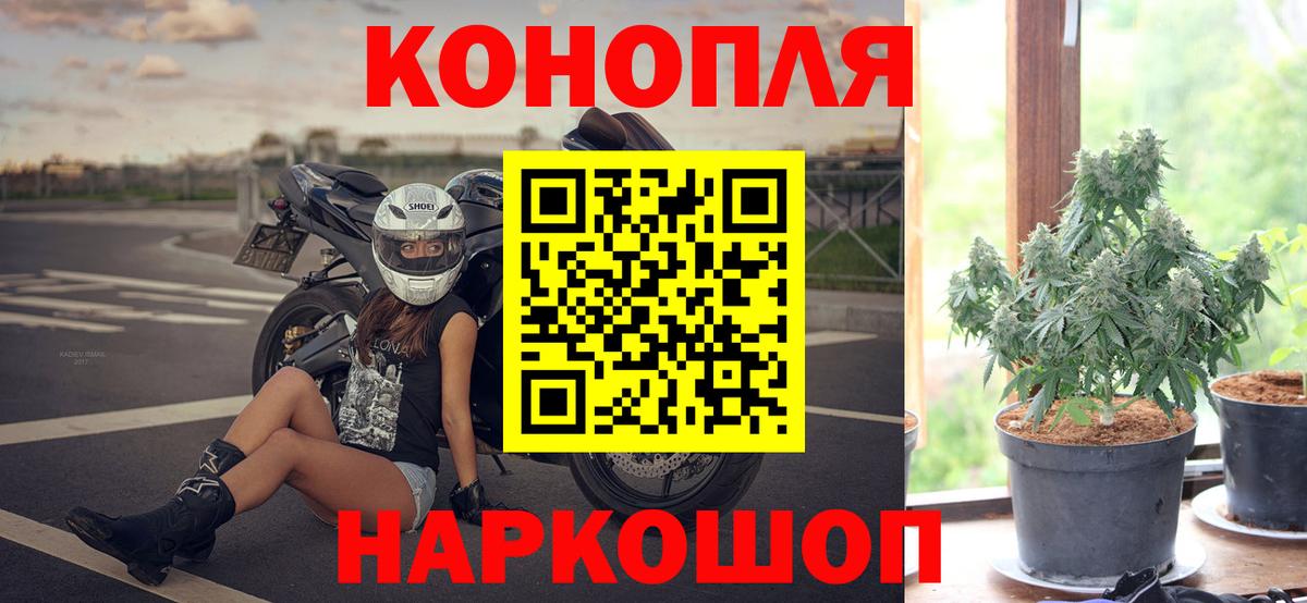 Конопля план Кингисепп